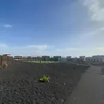 La Casita De Majanicho *